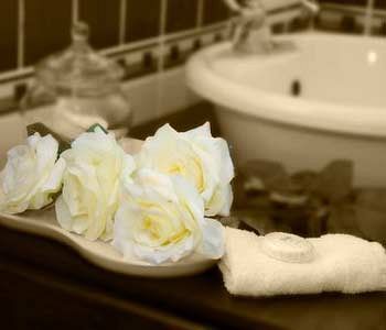 בלומפונטייין A White Rose Guest House מראה חיצוני תמונה